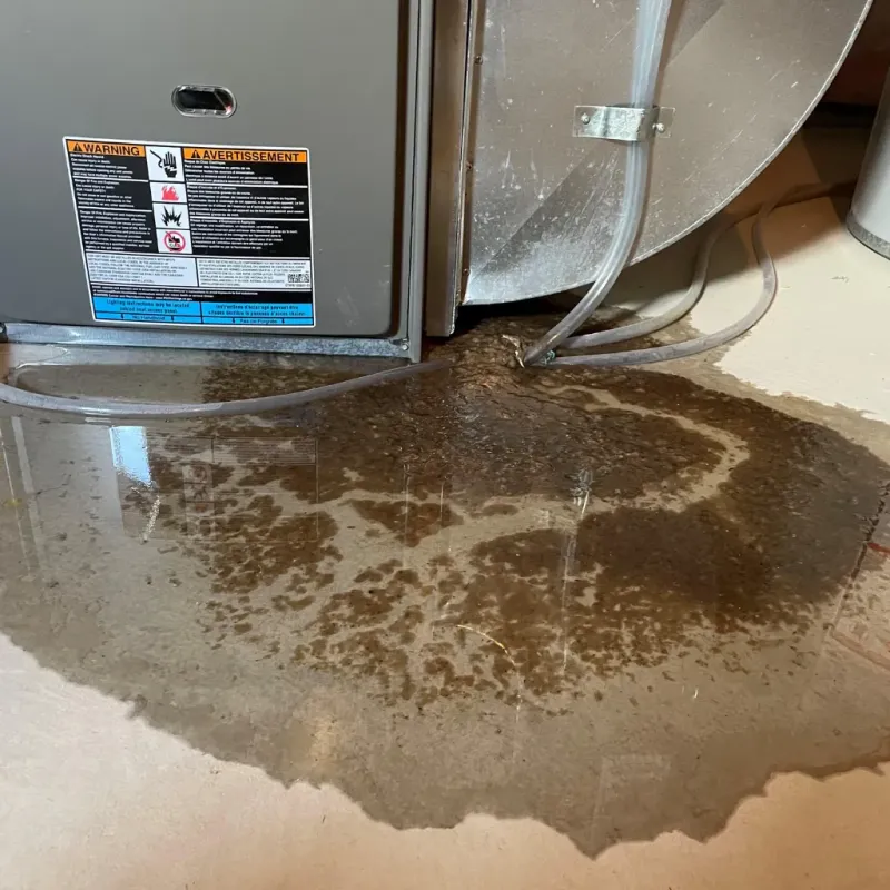 Appliance Leak Cleanup in Fort Atkinson, WI